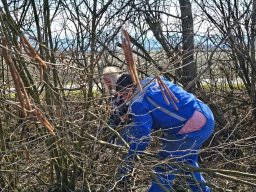 whatsapp image 2026-03-19 at 18.09.44 3